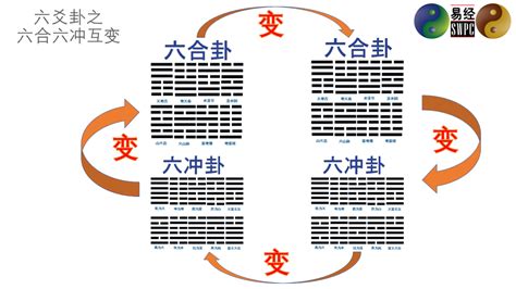 六合卦工作